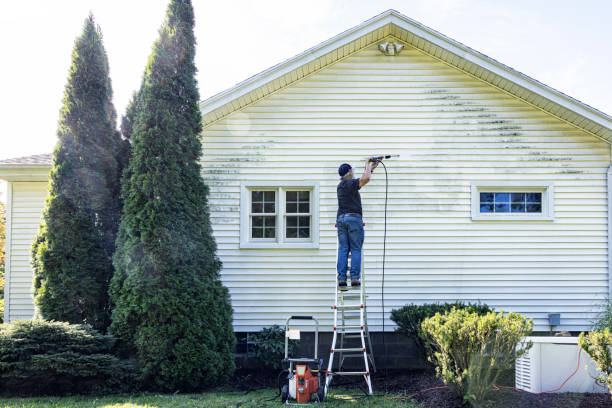 Roof Power Washing Services in Mountain View, MO
