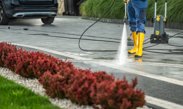 Best Affordable Pressure Washing  in Untain View, MO