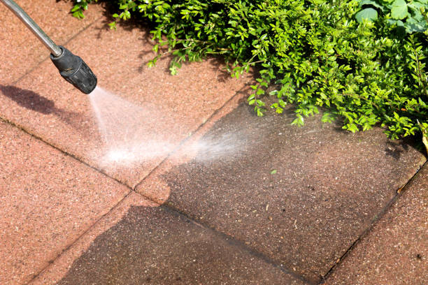Best Local Pressure Washing Services  in Untain View, MO